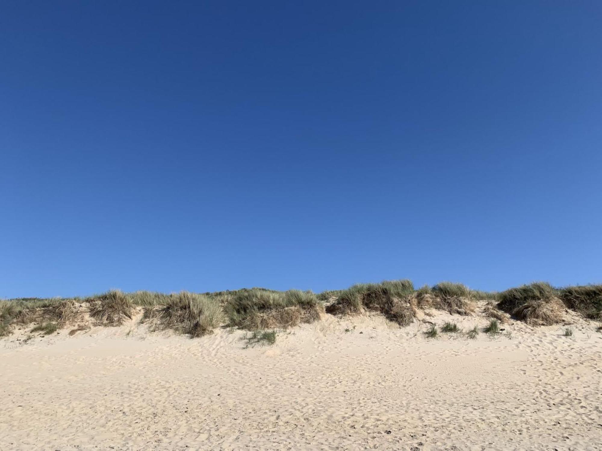 Studio Beach House By Interhome De Haan Buitenkant foto